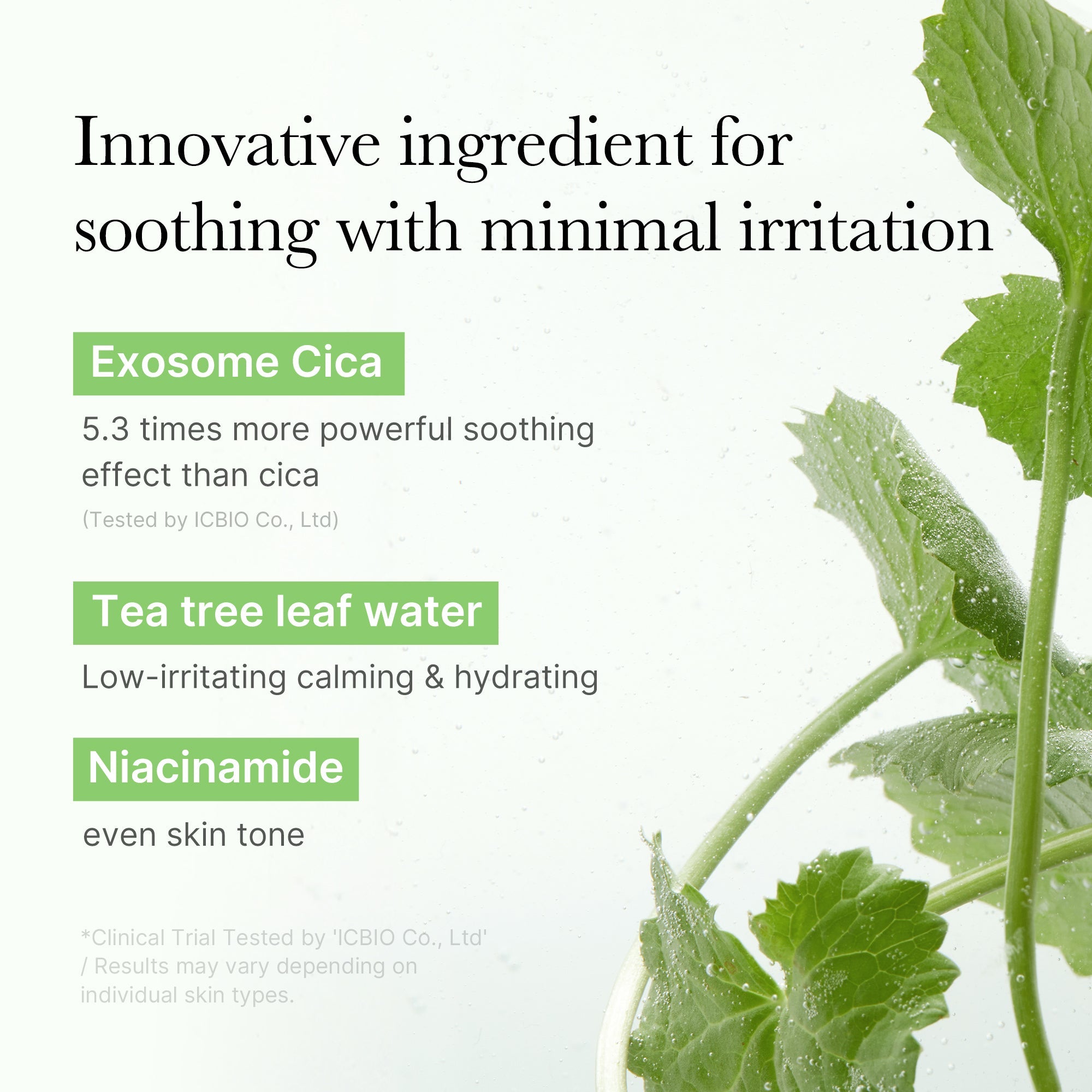 Exosome Cica Calming Toner Pads - Lightweight Glow Drops